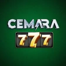 333a